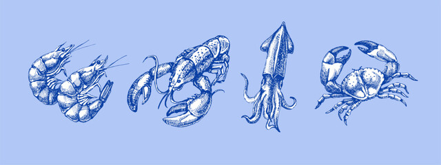 Sketch vintage seafood set. Mediterranean food menu design. Hand drawn vector illustration background © pim