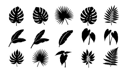 Set of black tropical leaf silhouettes vector illustration isolated on white background © Morjina