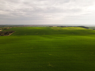 Aerial view of expansive green farmland with rolling hills and distant forest, rural landscape and agriculture background