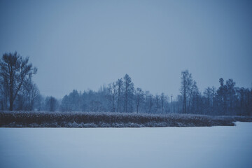 zbiornik wodny,zima  © Marcin Łazarczyk