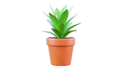Fototapeta premium Potted Green Plant