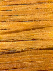 Close-Up of Textured Wooden Surface