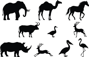 Set of black animal silhouettes including elephant camel horse buffalo duck deer rhinoceros pelican and flamingo isolated on white background. © Afsun