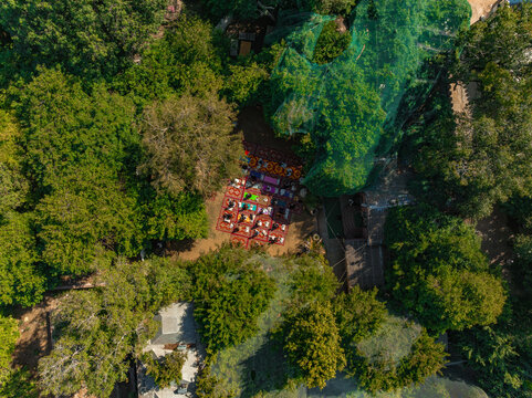 Aerial view of a yoga class in session amidst the dense foliage, contrasting with the vibrant mats and peaceful postures of participants, Pushkar Rural, Rajasthan, India.