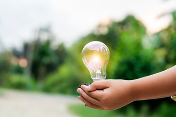 Renewable energy concept Earth Day or environment protection Hands protect forests that grow on the ground and help save the world.