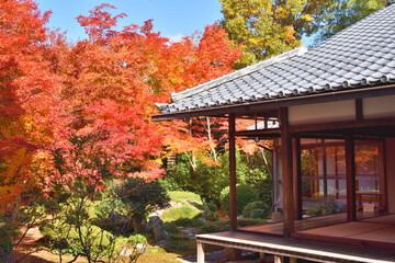 Obraz premium 源光庵の紅葉