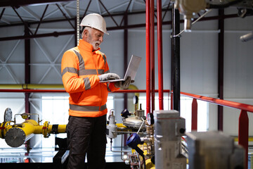 Senior engineer working on laptop at industrial plant
