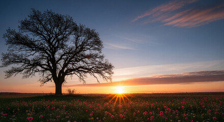 Silhouette of bare tree at sunrise in a field of pink flowers. The landscape represents renewal, hope and nature's resilience, perfect for serenity concepts