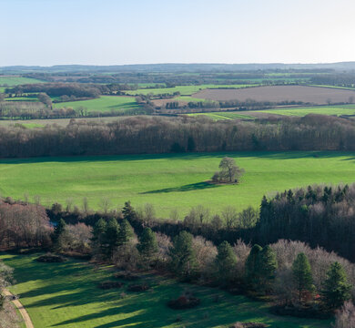 Aerial view of sun-drenched fields meet dark forests, creating a tapestry of light and shadow over the landscape, Basingstoke, England, United Kingdom.