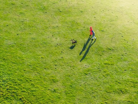 Aerial view of a vibrant green field where a person in red walks their dog, their shadows stretching long in the soft light, Basingstoke, England, United Kingdom.
