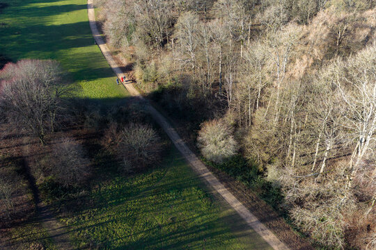 Aerial view of a winding path cutting through a vibrant green field and leading into a dense forest of bare trees, capturing the serene beauty, Basingstoke, England, United Kingdom.