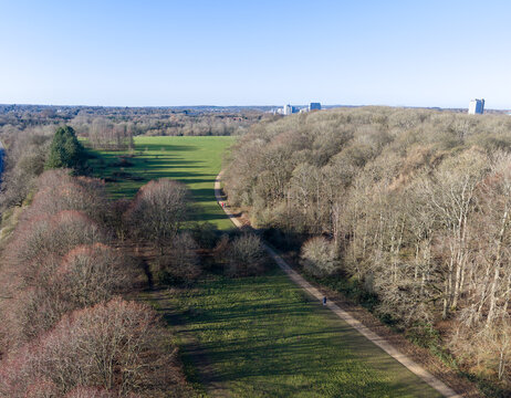 Aerial view of a vibrant green field bordered by dense, leafless woodlands leading towards the skyline, contrasting with the clear blue sky, Basingstoke, England, United Kingdom.