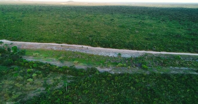 Drone orbital of Cerrado perennial river corridor showing gallery forest evergreen margins, wet-season water dynamics, surrounding savanna mosaic, and riparian restoration landscape in central