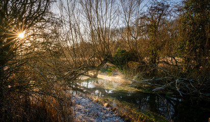Winter walk in a nature reserve in Malborough Wlitshire England