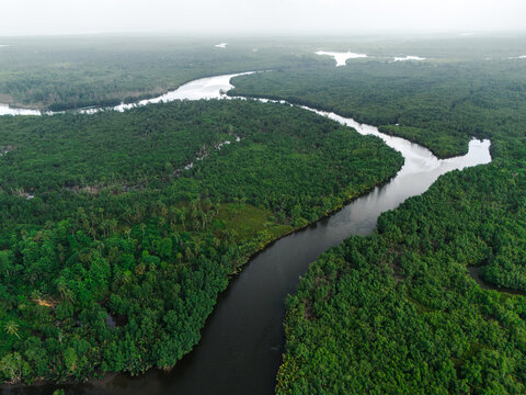 Aerial view of the winding river snaking through a dense, verdant forest, a tapestry of dark greens and browns under a muted sky, leaving a lasting impression, Port Harcourt, Rivers, Nigeria.