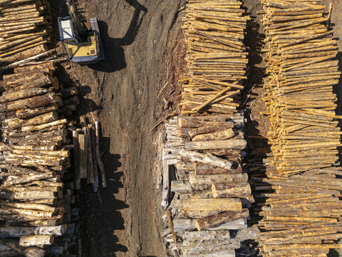 Aerial wiew of processed logs arranged systematically, reflecting the reforestation and timber production cycle, Wanaka, Canterbury, New Zealand.