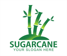 Sugarcane vector logo illustration flat design template organic farm product