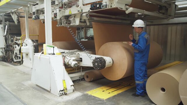 Engineer stands near production conveyor at factory, cardboard manufacturing machine. Rear view. Worker checks equipment before starting conveyor with paper rolls for corrugated cardboard production.