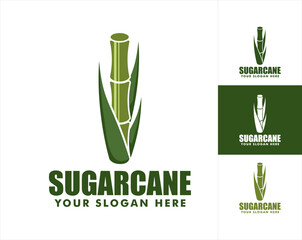 Sugarcane vector logo illustration flat design template organic farm product