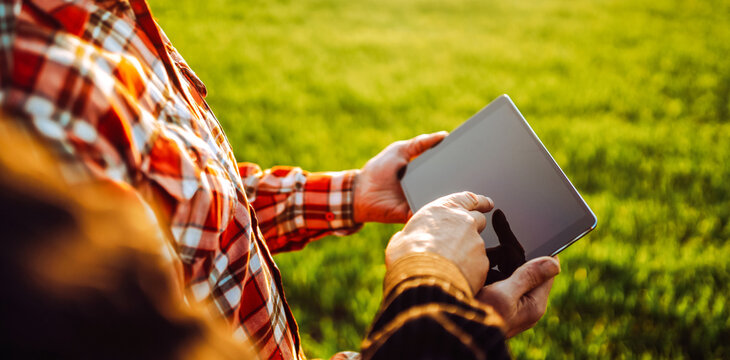 Two experienced farmers are standing in a field holding a digital tablet. Close-up. Agronomists are working with a digital tablet in a green field. Concept of gardening, smart agriculture.