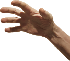 Open human hand reaching forward gesture on transparent background. Concept of user interaction, call to action, digital touch, interface engagement, trust signal.