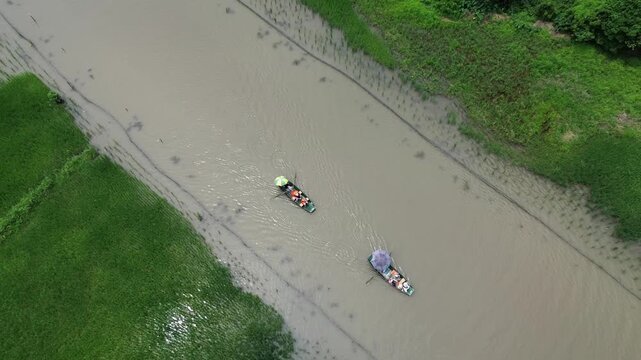 Top-down Aerial View of Traditional Rowing Boats Navigating Tam Coc River Ninh Binh Vietnam