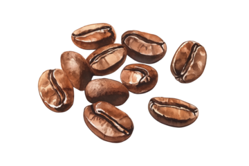 Coffee Beans Watercolor Illustration Isolated on Transparent Background