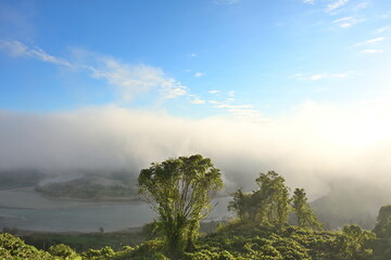 山本山高原から望む信濃川と朝靄の風景（新潟県小千谷市）