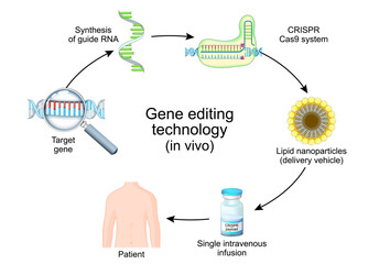 Gene editing technology in vivo. CRISPR and Cas9 system for Treatment disease