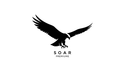 Obraz premium Silhouette of a majestic eagle in flight with wings spread wide.
