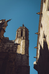 Cathedral of the Holy Cross and Saint Eulalia (Barcelona Cathedral)