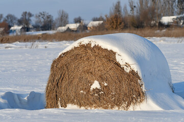 Close up of snow-covered hay bale in frosted winter field on a sunny day.