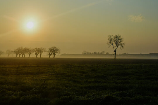 La campagna in zona Sale al calar del sole -  Alessandria - Piemonte - Italia