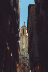 Cathedral of the Holy Cross and Saint Eulalia (Barcelona Cathedral)