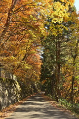 Fototapeta premium 長野市に広がる山並みと紅葉の風景（長野県長野市）