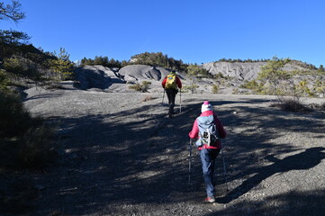 Terres  noires d'Archail (Provence)