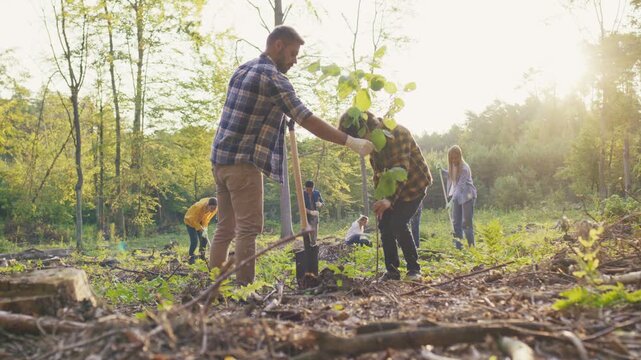 Low angle view of father teaching son planting tree in woodland. Caucasian man digging ground with shovel. Young boy holding sapling carefully. Family volunteering together. Forest area.