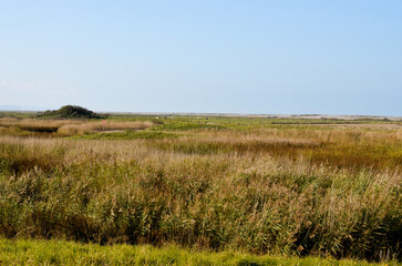 Fototapeta premium La réserve d'avifaune du hâble d'Ault, zone naturelle protégée, Somme, 80, Region Picardie, France