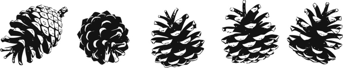 Fototapeta premium Five different pine cones collection isolated on white background in black and white silhouette