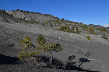 Terres  noires d'Archail (Provence)