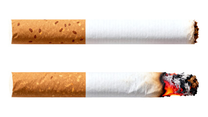 Two cigarettes isolated one lit and burning with ash