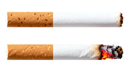 Two cigarettes isolated one lit and burning with ash