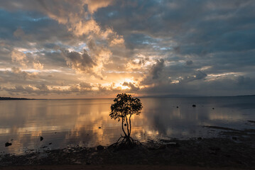 幻想的な夕日と絶景