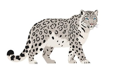 Fototapeta premium Snow leopard walking through rocky mountain terrain in a snowy natural habitat.