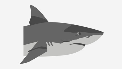 Fototapeta premium Great White Shark Illustration - Profile View, Minimalist Style