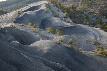 Terres  noires d'Archail (Provence)
