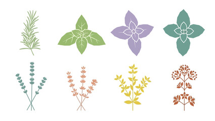 Herbs Collection: Rosemary, Basil, Lavender, Oregano, Mint, Thyme © adha