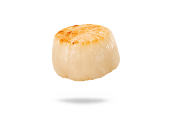 Seared scallop, delectable seafood cuisine on transparent background.