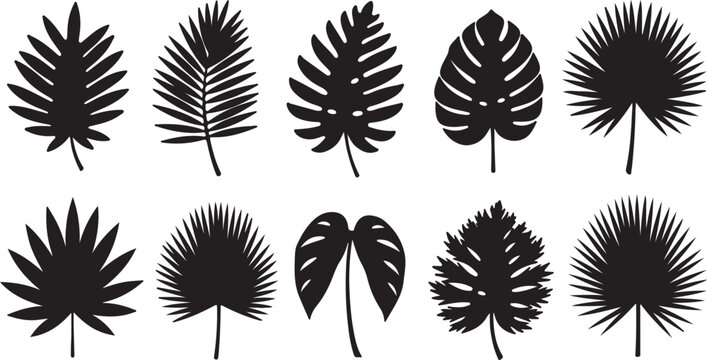 Tropical leaves vector. Set of palm leaves silhouettes isolated on white background. Vector EPS10