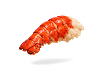 Delicious lobster tail sushi on a transparent background. Great food.